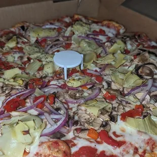 Gourmet veggie pizza