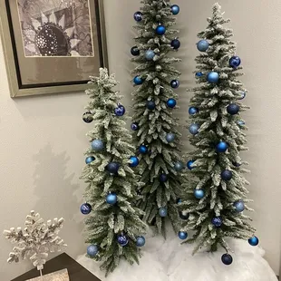 It's beginning to look a lot like Christmas!