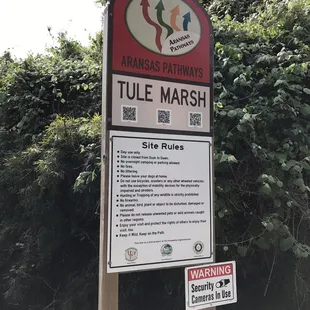 Tule Marsh