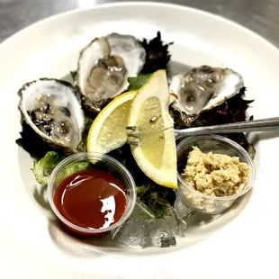 shellfish, food, oysters, oysters and mussels, mussels