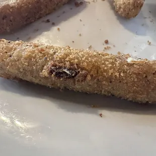 Bug on Fried Mozzarella