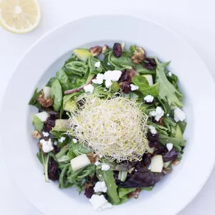 Cranberry and goat cheese salad