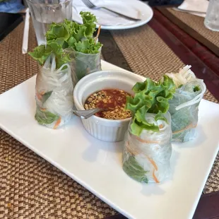 08. Vietnamese Spring Rolls