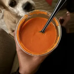 tomato soup