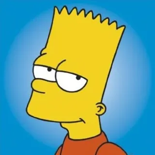 Bart M.