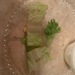 lettuce in a blender
