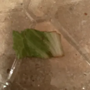 a leaf on the ground