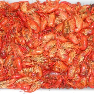 HOT DELICIOUS CRAWFISH!