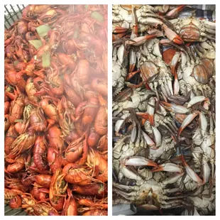  pile of crabs and a pile of crabs