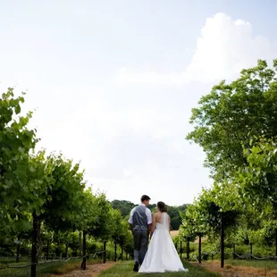 Celebrate your big day with a gorgeous vineyard wedding!