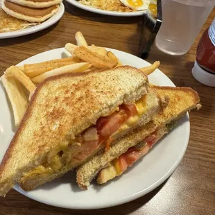 Grilled cheese with veggies &amp; fries