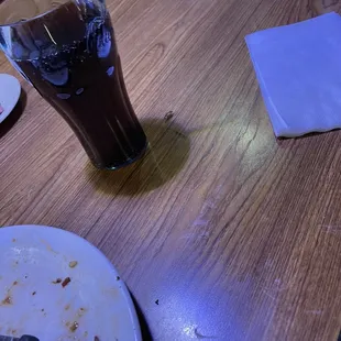 It climb up the table when I was eating