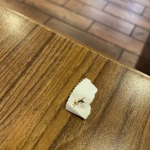 Here is the spider I killed and picked out of my food.