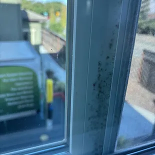 Mold in an apartment that's only 36 months old