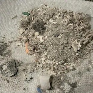 The dirt, filth, dust, and chemicals that were left under my carpet, and the carpet was installed on top of it