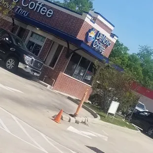 a dog walking in a parking lot