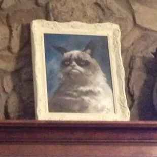 My sweet buy at the arts and jazz feat