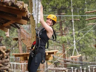 Treehouse Adventure Park