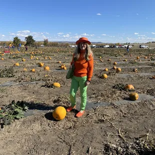 Picked over a little