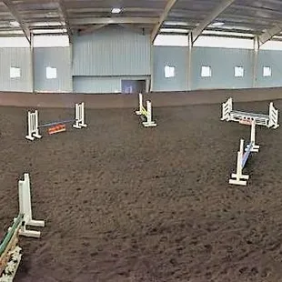 Hunter / Jumper / Dressage / Equitation