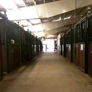 32,000 sf clean equestrian facility