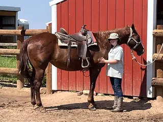 Chatfield Stables