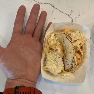 a hand holding a taco