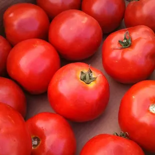 DePalma Farms