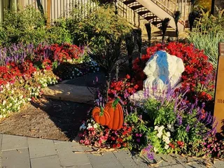 Museum of Outdoor Arts