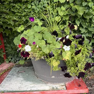 a container of flowers in a garden