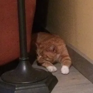 Hunter B.