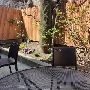Very cute backyard dining area