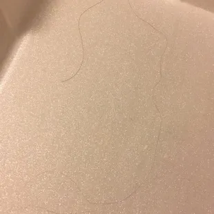 And last but not least the long black hair I pulled out of my Chef 's Salad. (I'm blonde. There's no mistake where it came from)