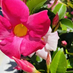 I had to so beautiful :)