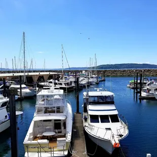 View of the Marina from the Farmer&apos;s Market.