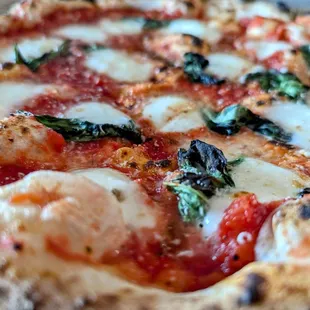 Margherita Pizza