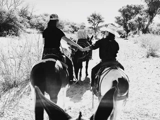 Tombstone Equine Company