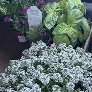 Todays finds.