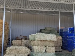 Vista Feed & Supply