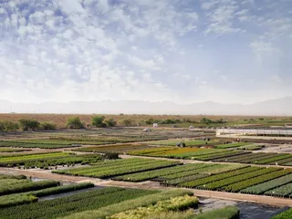 Civano Growers