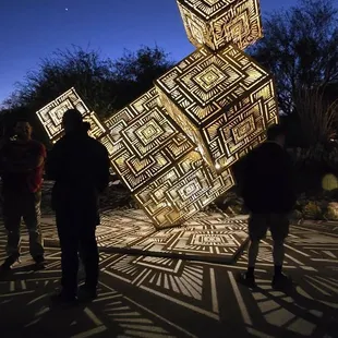 LIGHT BLOOM by HYBYCOZO at Desert Botanical Garden