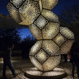 LIGHT BLOOM by HYBYCOZO at Desert Botanical Garden