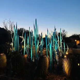 At DBG in May 2022 &amp; during the Chihuly in the Desert exhibit.