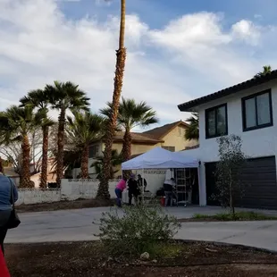palm trees in front of a white house