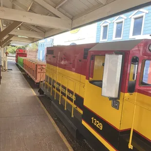 Train in station.