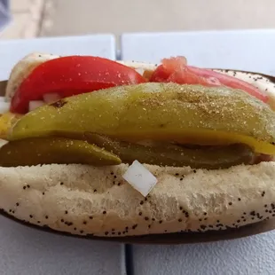 Chicago Dog