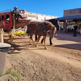 Horse and carriage rides! This was absolutely my fav. sightseeing day! It's what we came for!