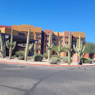 Desert Diamond Casino and Hotel