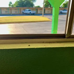 Dead flies in a filthy windowsill.