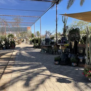 The north side of the nursery. This place is huge!